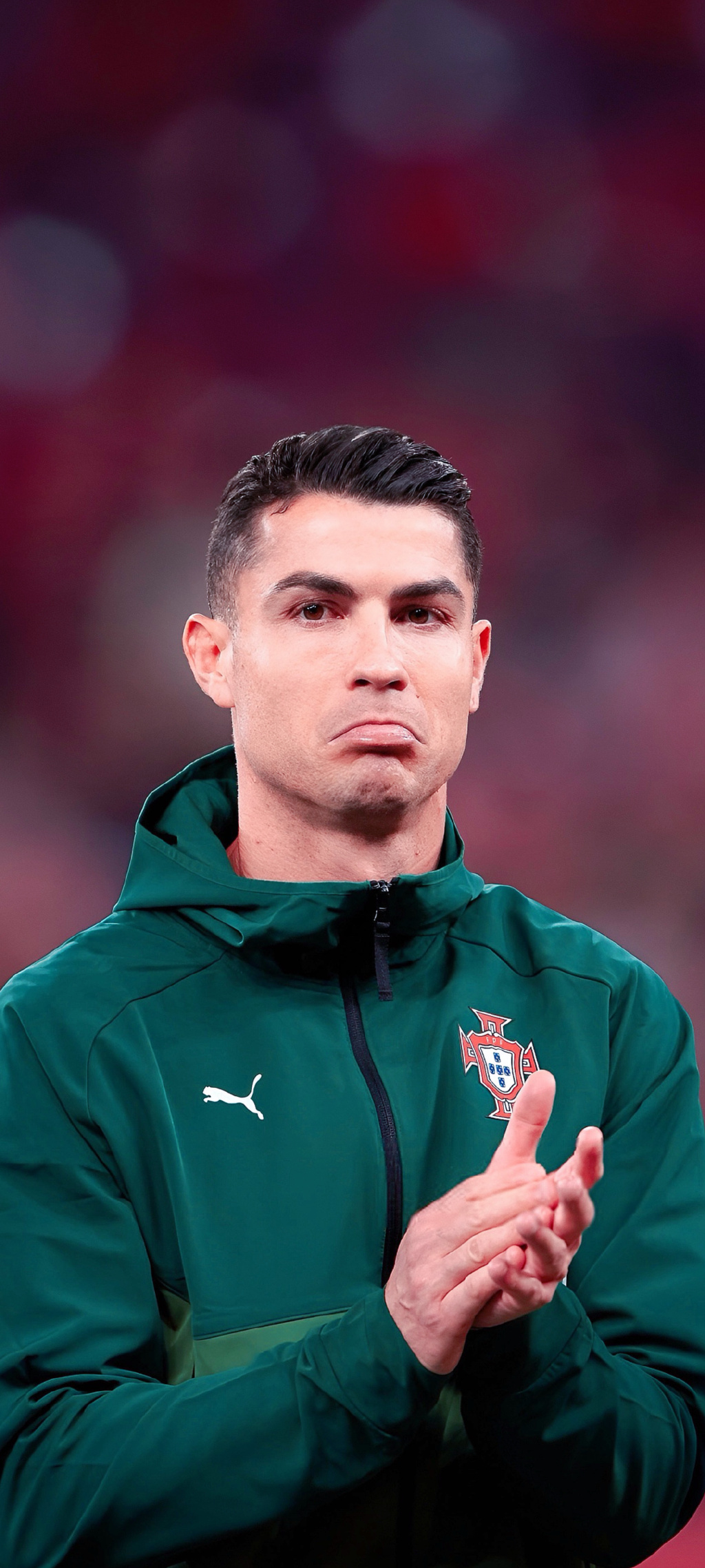 恰是他对节